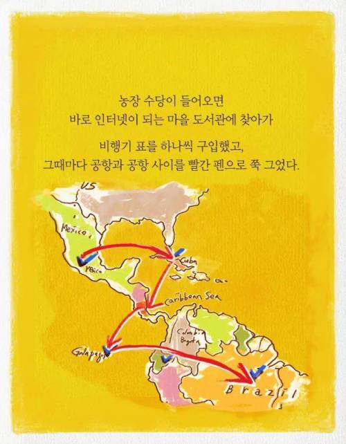 카이스트 다니다가 바나나 농장에 취직한 이유