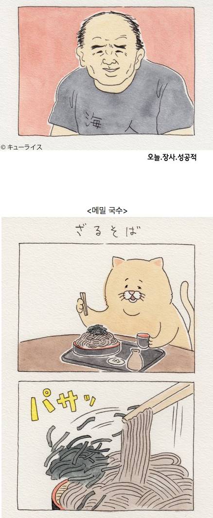 유감스러운 고양이 만화.jpg