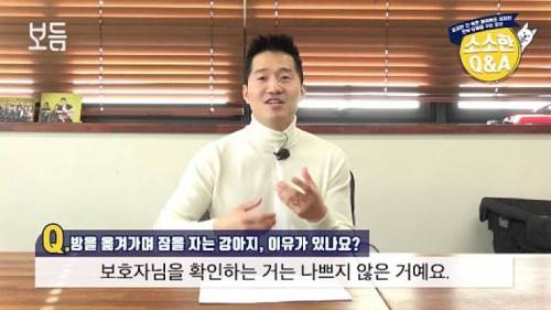 강아지가 방을 옮겨 가면서 자는 이유.jpg