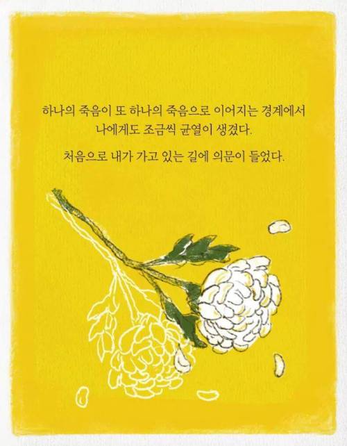 카이스트 다니다가 바나나 농장에 취직한 이유