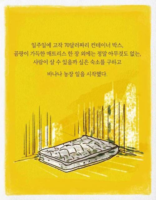 카이스트 다니다가 바나나 농장에 취직한 이유