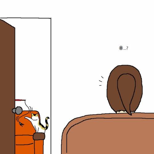 귀신을 부르는 고양이.jpg