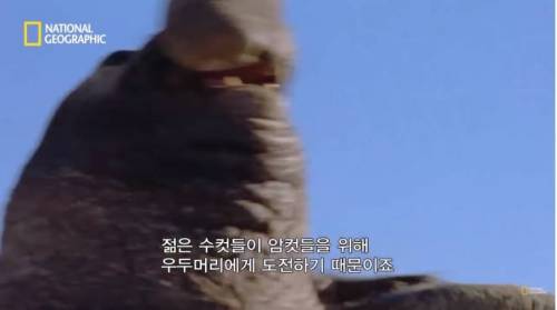 햇볕이 좋네요...jpg