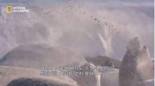 햇볕이 좋네요...jpg