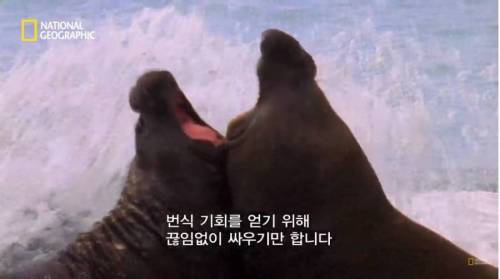 햇볕이 좋네요...jpg