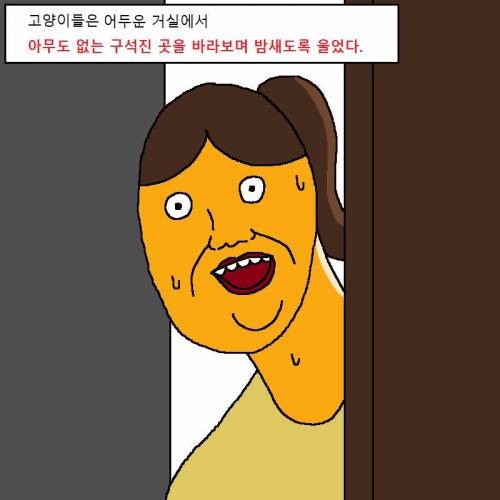 귀신을 부르는 고양이.jpg