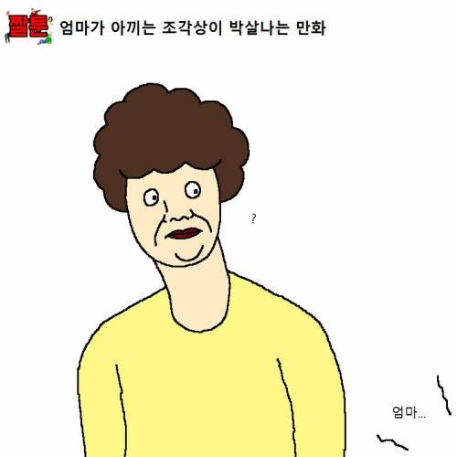 엄마가 아끼는 조각상이 박살나는 만화.jpg