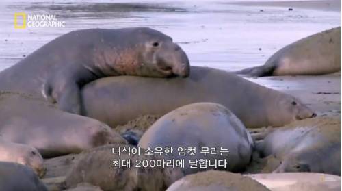 햇볕이 좋네요...jpg
