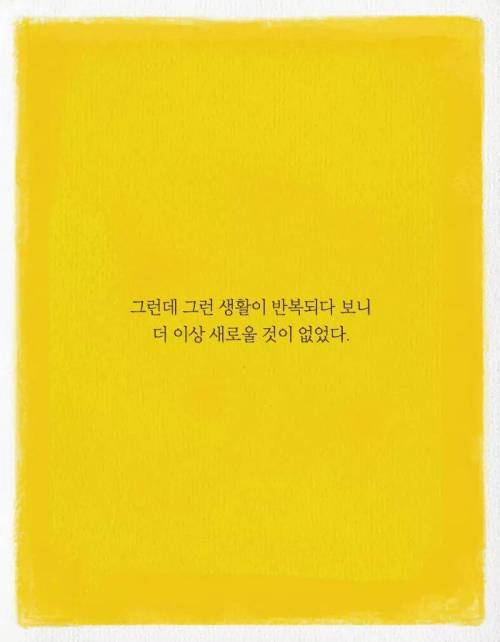카이스트 다니다가 바나나 농장에 취직한 이유