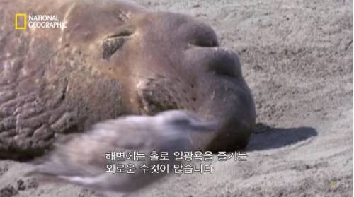 햇볕이 좋네요...jpg
