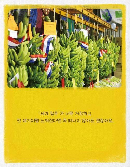 카이스트 다니다가 바나나 농장에 취직한 이유