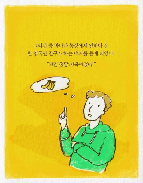 카이스트 다니다가 바나나 농장에 취직한 이유