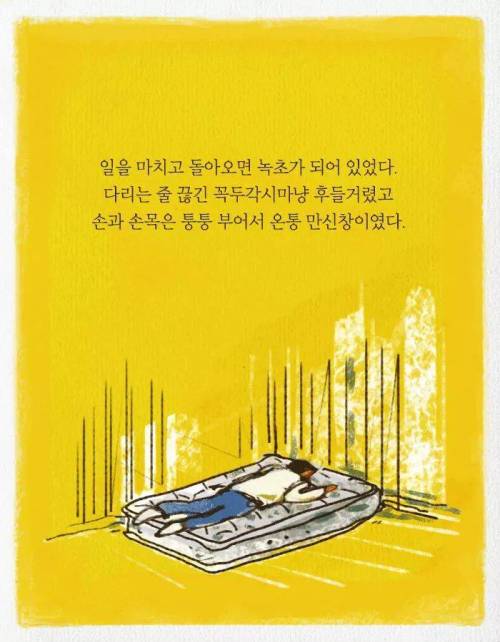 카이스트 다니다가 바나나 농장에 취직한 이유