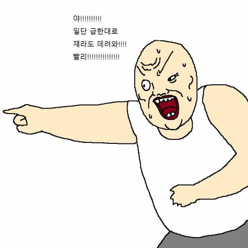 엄마가 아끼는 조각상이 박살나는 만화.jpg