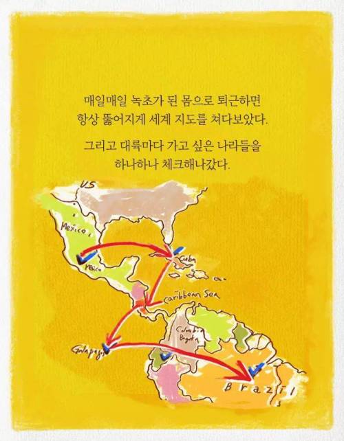 카이스트 다니다가 바나나 농장에 취직한 이유