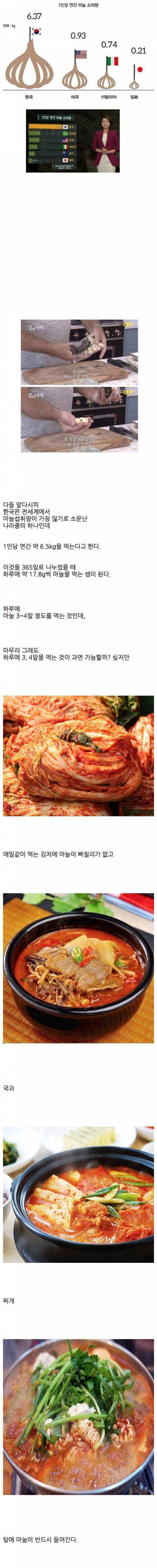 한국인과 마늘의 상관관계.jpg