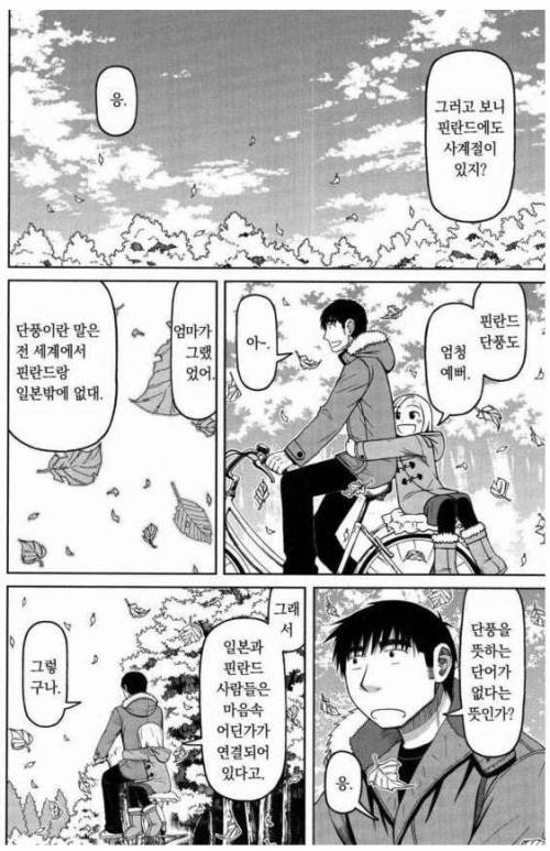 단풍이란 말은 핀란드랑 일본 밖에 없대.jpg
