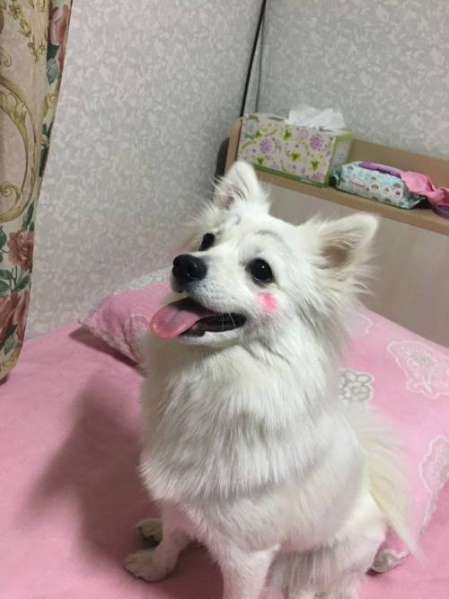 엄마가 화장 시켜줌.jpg