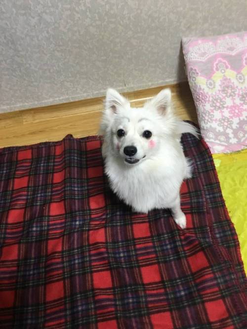 엄마가 화장 시켜줌.jpg