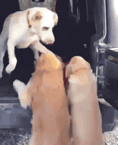 내가 도와줄께.gif