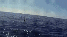 바다의 탈 것.GIF