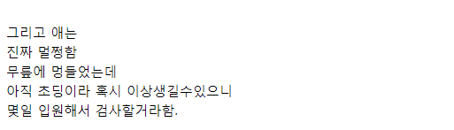어린이보호구역 사고.jpg