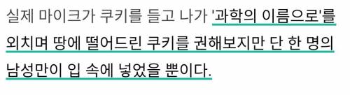 바닥에 떨어진 음식. 빨리 주우면 괜찮을까?