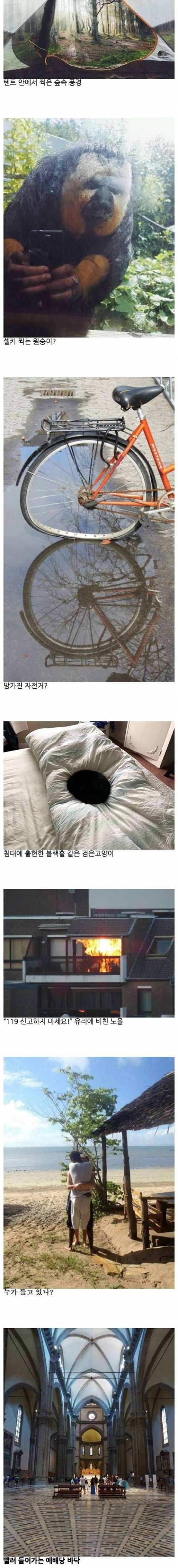 신기한 착시 사진들.jpg