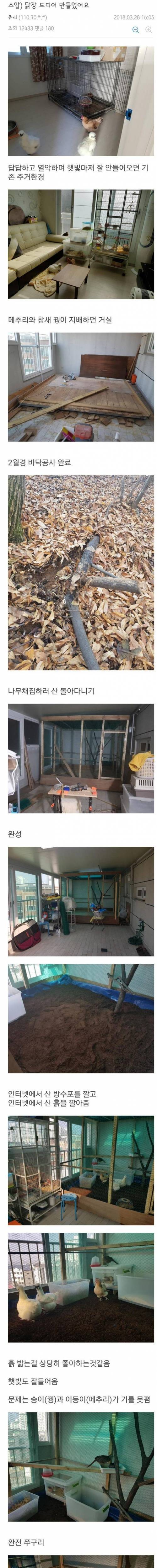 베란다에 닭장 만든 디씨인.jpg