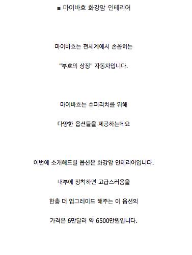 자동차 옵션들.jpg