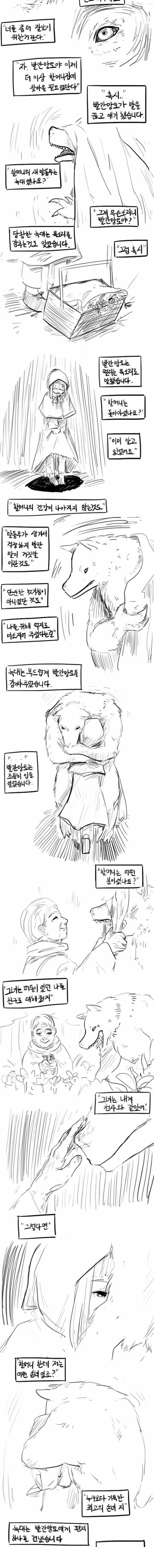 빨간망토 이야기.jpg