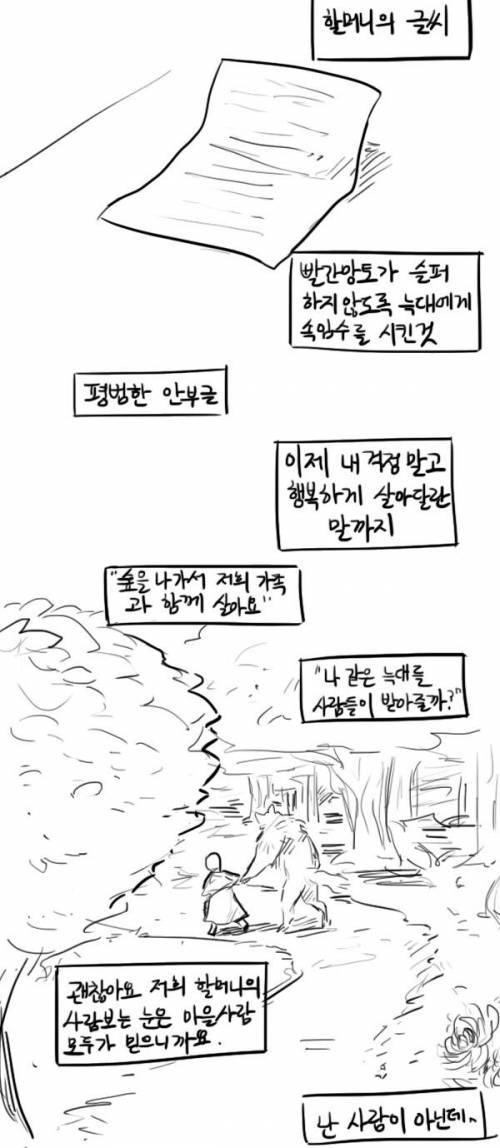빨간망토 이야기.jpg