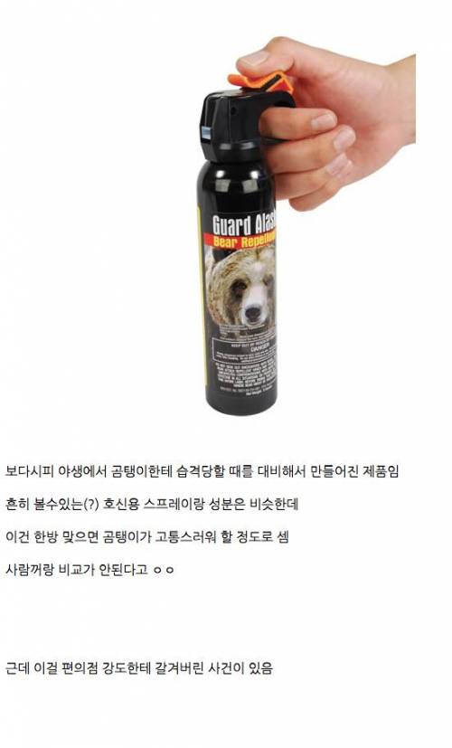 곰 스프레이.jpg