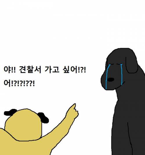 퍼그 형제가 생일날 개빡친 만화.mp4