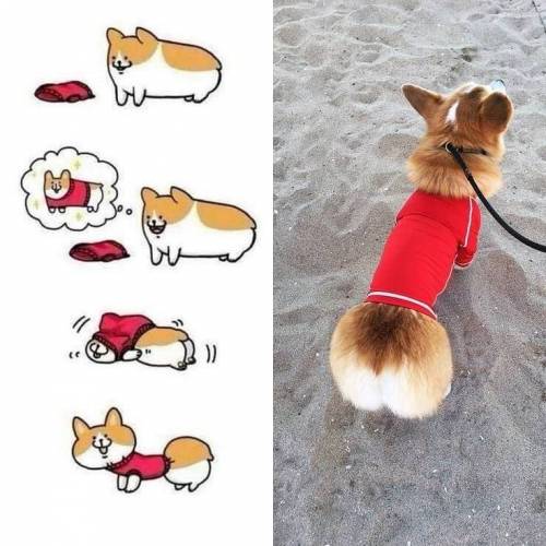 나도 스웨터 입으면 귀엽겠지?.jpg