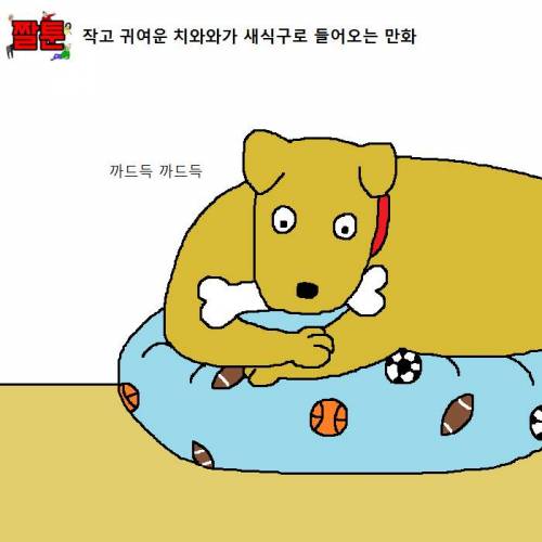 작고 귀여운 치와와가 새식구로 들어오는 만화.jpgif