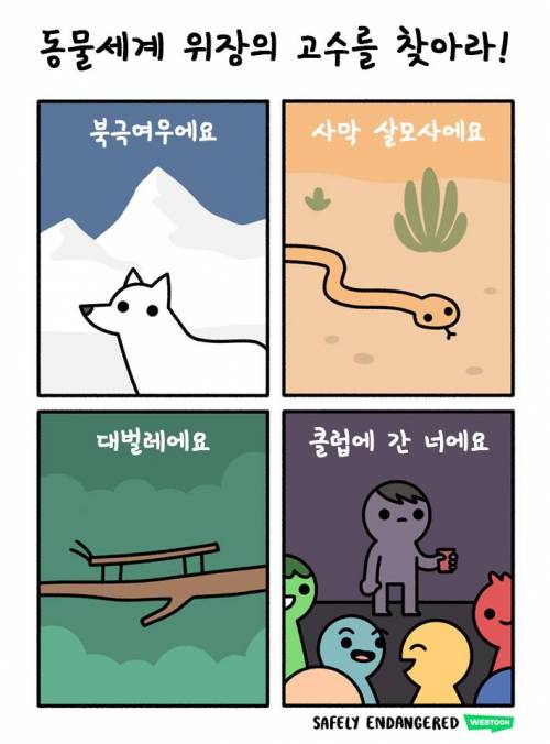 위장의 달인.jpg