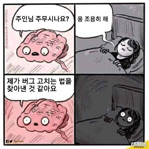 프로그래머 만화.jpg