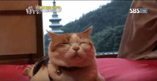 석가모니 빙의.jpg