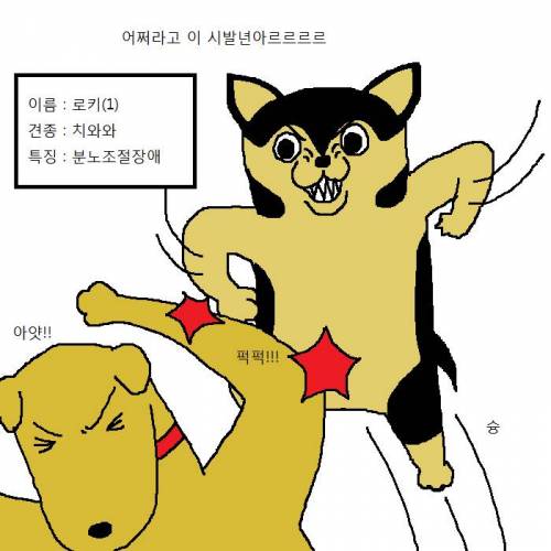 작고 귀여운 치와와가 새식구로 들어오는 만화.jpgif