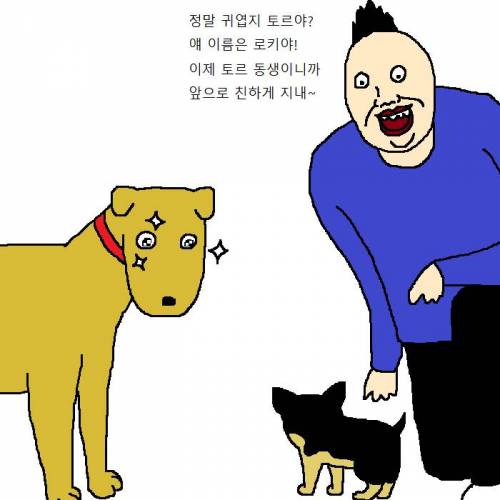 작고 귀여운 치와와가 새식구로 들어오는 만화.jpgif