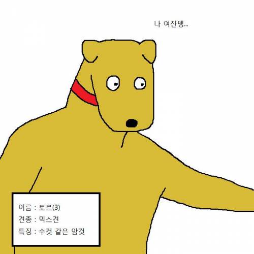 작고 귀여운 치와와가 새식구로 들어오는 만화.jpgif