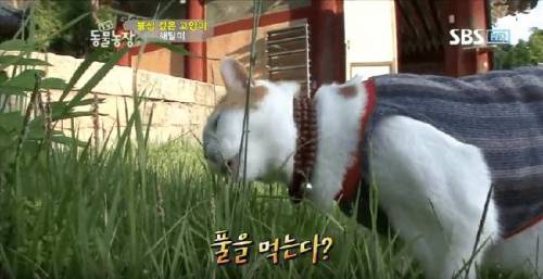 석가모니 빙의.jpg