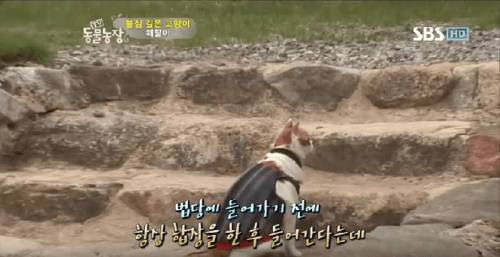 석가모니 빙의.jpg