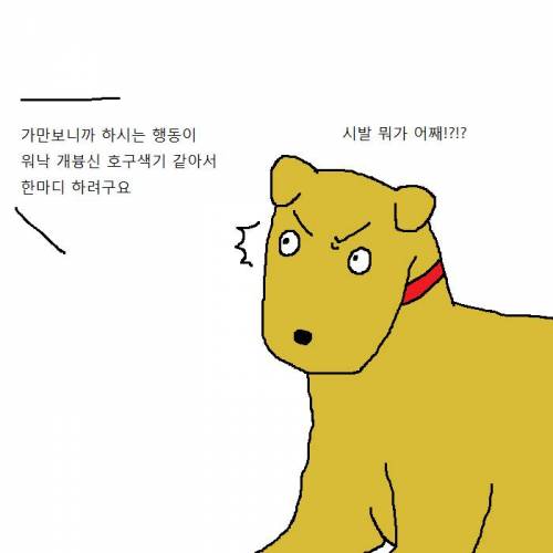 작고 귀여운 치와와가 새식구로 들어오는 만화.jpgif