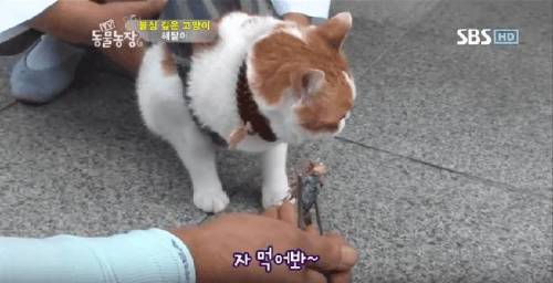 석가모니 빙의.jpg