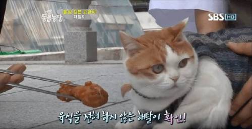 석가모니 빙의.jpg