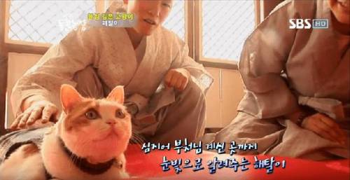 석가모니 빙의.jpg