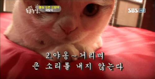 석가모니 빙의.jpg