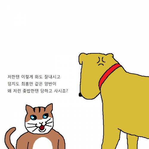 작고 귀여운 치와와가 새식구로 들어오는 만화.jpgif